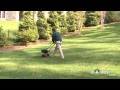 How to Apply Lawn Fertilizer