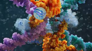 Arc Institute Scientists Discover Next-Generation System for Programmable Genome Design