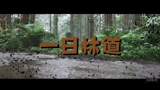 20190916 花蓮林道挑戰