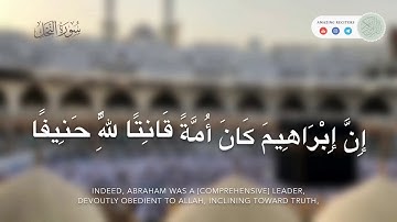 تلاوة خاشعة ✨ فضيلة الشيخ د. #اسامة_خياط