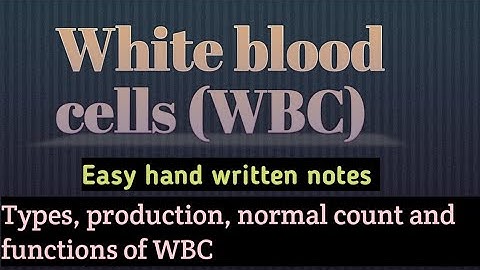 White blood cells | Leukocytes | WBC | Urdu lecture | Learn with aroosa waheed