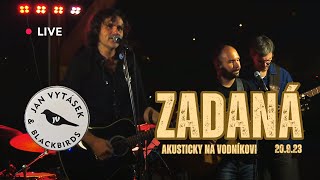 Zadaná (akusticky 2023) - Jan Vytásek & Blackbirds