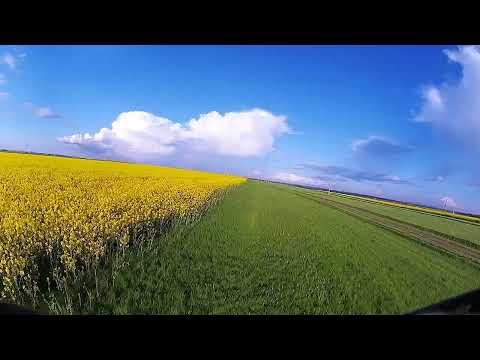 BetaFPV Meteor75 PRO HD flying over yellow rapeseed field