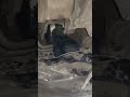اسباب الرعشه اول ما تيجي تطلع بعربيه