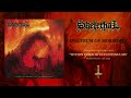 Skelethal spectrum of morbidity taken from within corrosive continuums lp 2024