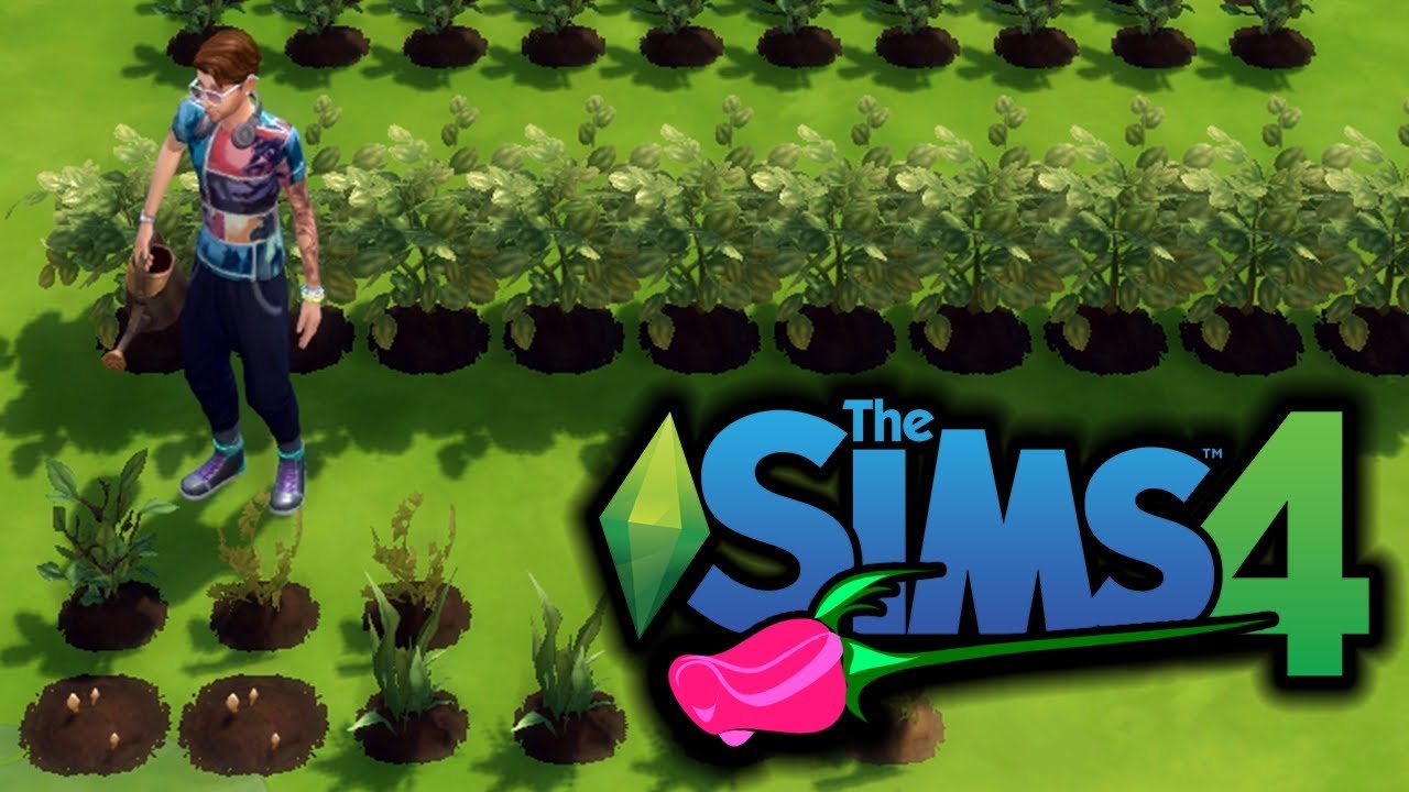 Grumpy Gardener The Sims 4 Rosebud Challenge Rags To Riches