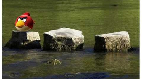 Angry Bird Animated Film by Power Point