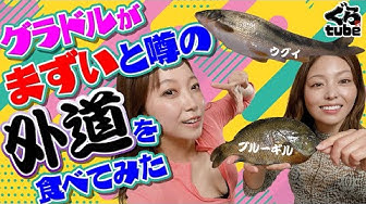 ウグイ Youtube