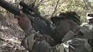 Meet the Aimpoint M68 Close Combat Optic (CCO) Net Worth