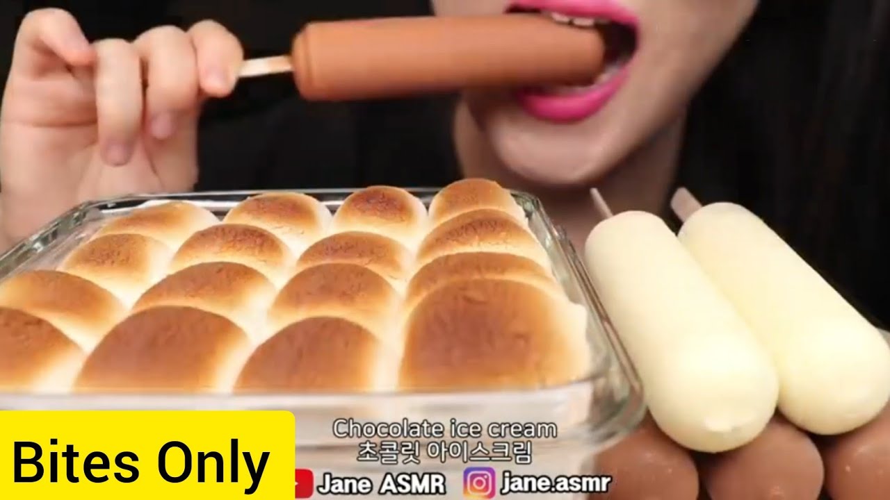 BITES ONLY S'mores Dip and Chocolate Ice Cream //  Jane ASMR 제인
