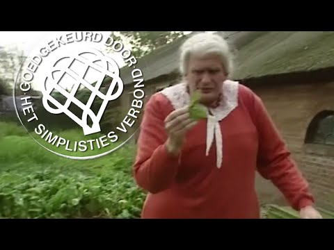 van-kooten-en-de-bie-keek-op-de-week-kruidenvrouwtje-1990