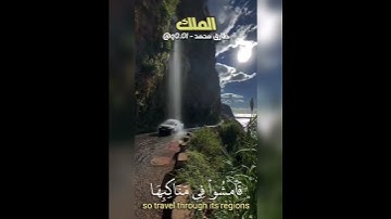 هو الذي جعل لكم الأرض ذلولا فامشوا في مناكبها.. سورة الملك للقارئ طارق محمد