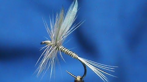 Beginner Fly Tying a Blue Quill with Jim Misiura