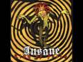 Insane - The Run (Album Version)