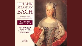 Lasst uns sorgen, lasst uns wachen, BWV 213: Lust der Volker, Lust der Deinen (Chorus)