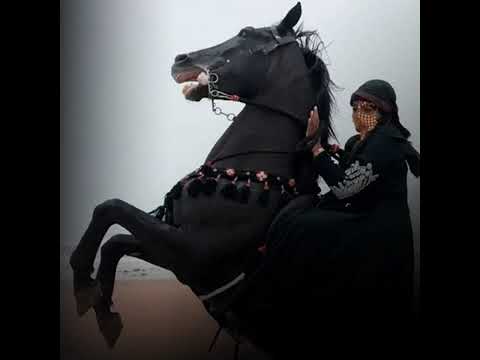 Provided To YouTube By DistroKidالموسيقى الحالية Selçuk Şahinالموسيقى الحالية 