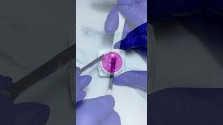 Video: UV / LED Color Gel - spring pink - Art. 80397