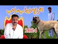 Interview of moon dub sahib best of pakistani dog lover 2024