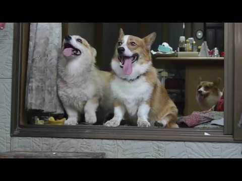 2017　夏本番です