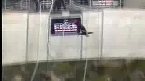 www.faceadrenali...  Bloukrans Bungy Gillian Tyler