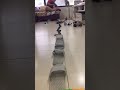 Trasped 1/64 rc car vs Rtr 1/64 rc car battle (full)