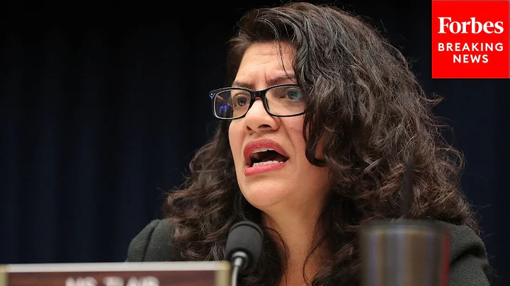 Absolutely Yes: Rashida Tlaib Asks Witness If Ther...