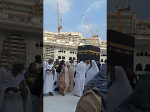 ياطير ياطير فوق رايح عالمدينه ياطير ياطاير فوق رايح عالمدينه Malak Malak1 Malak Malak1