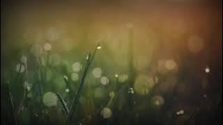 Dj Goyang Pinggang Viral!!!!!! Bikin Goyang pinggul..