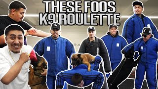 FOOS GET BIT BY K9 ATTACK DOGS !!
