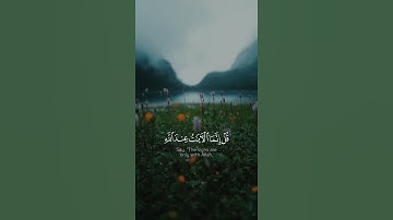 وَقَالُوا لَوْلَا أُنزِلَ عَلَيْهِ آيَاتٌ مِّن رَّبِّهِ ۖ | عبدالرحمن مسعد | سورة العنكبوت