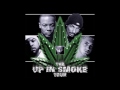 Ice Cube F Mack 10 WC We Be Clubbin Up In Smoke Tour Live mp3