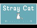 【Royalty Free Music】 Sakura Girl - Stray Cat