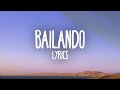Miniature de la vidéo de la chanson Bailando
