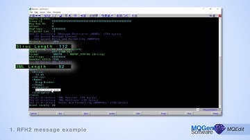 MQEdit: Message Correctness | MQGem Facet
