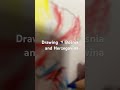 Drawing B&amp;H