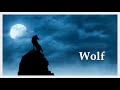 Wolf howling at the moon! Beautiful and relaxing wolf sound 2022!