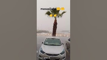 😱 #عبدالرحمن_مسعد #عبدالرحمن_مسعد_تلاوة_جديدة #shortvideo #اكسبلور #ترند #تصويري #اكسبلور #تصويري