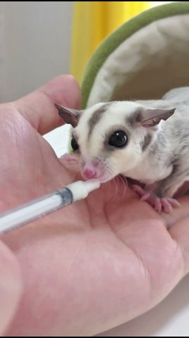 ※最後衝撃の理由が明らかに