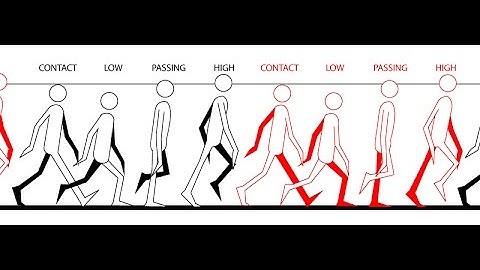 Walk Cycle in AUTODESK MAYA 2017 (Part-1)