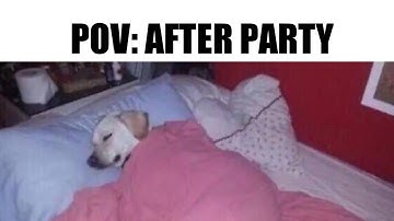 INTROVERT MEMES #6