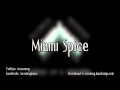 Miniature de la vidéo de la chanson Miami Spice