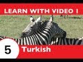 Learn Turkish with Video - How to Talk About Safaris in Turkish