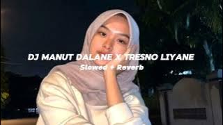 DJ Manut Dalane X Tresno Liyane ( Slowed   Reverb ) || Viral Tik Tok