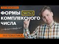 Тригонометрическая и показательная форма комплексного числа: Действия и Бонус | Высшая математика