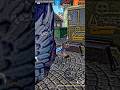 FREE FIRE EDIT ! #freefire #freefirehighlights #youtubeshorts