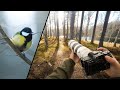 Relaxing POV Nature Photography｜Early Spring Vibes