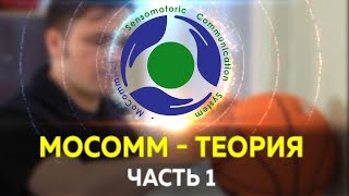 Система Сенсомоторной Коммуникации (MoComm). Теория. Часть I. screenshot 3