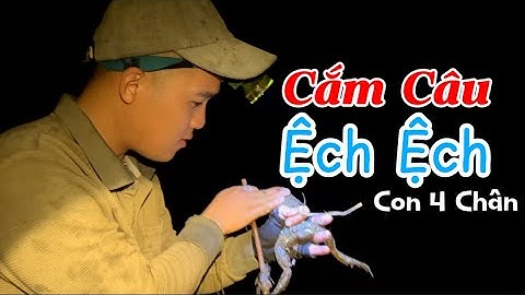 Đi Cắm Câu Ếch Mùa Nước Nổi - Trúng To Ngay Đêm Đầu Tiên