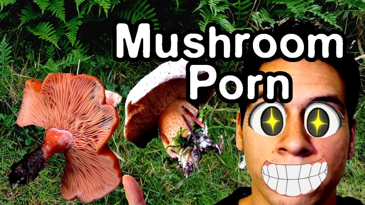 Porn Mushroom