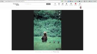 What is ThingLink